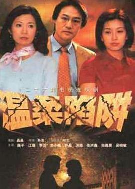 温柔陷阱2001